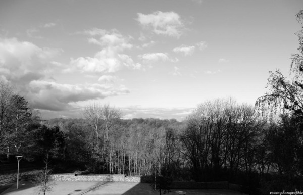 MONOCHROME