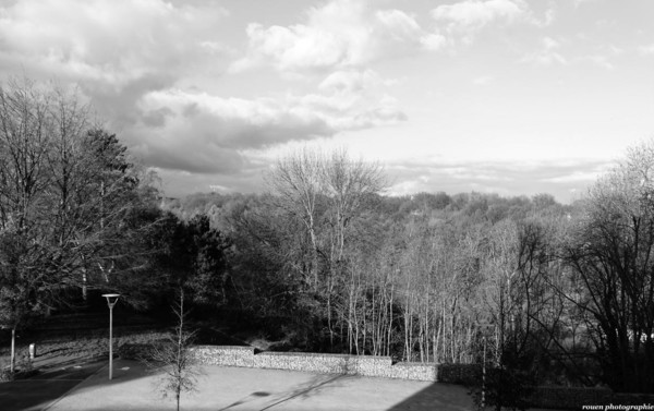 MONOCHROME