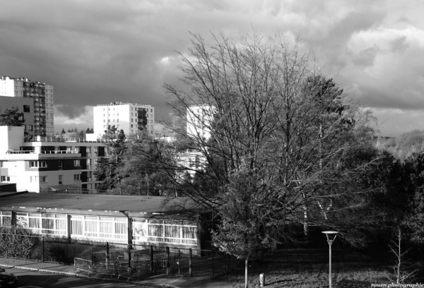 MONOCHROME